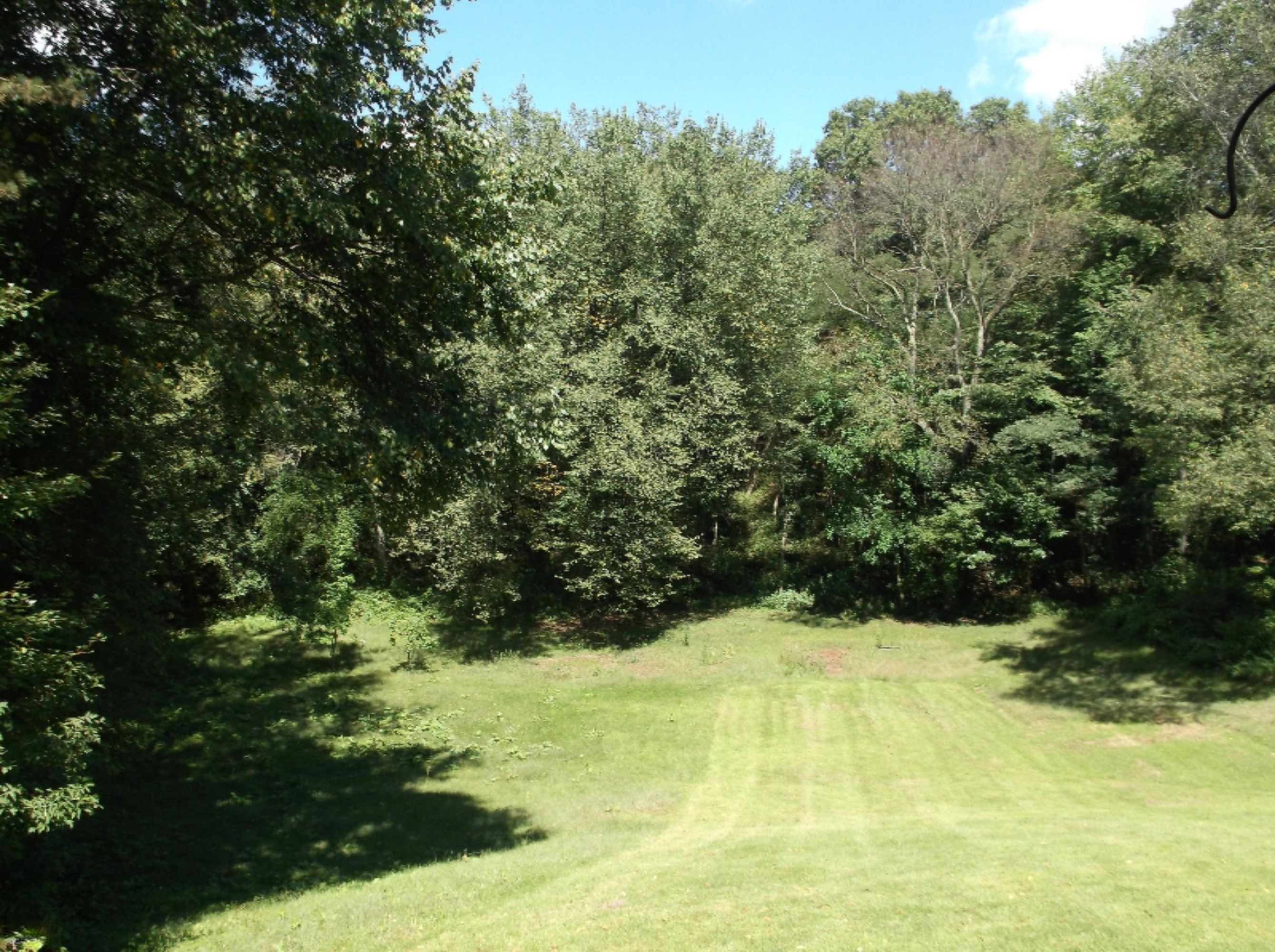3001 Hamilton Road Battle Creek, MI 49017 - Photo 2 of 4 DSCF2663