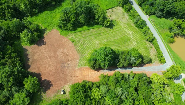 a view of a garden with a lake