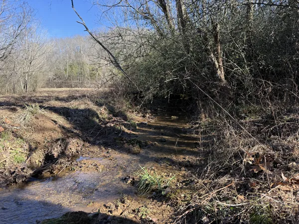 a view of a backyard of the house