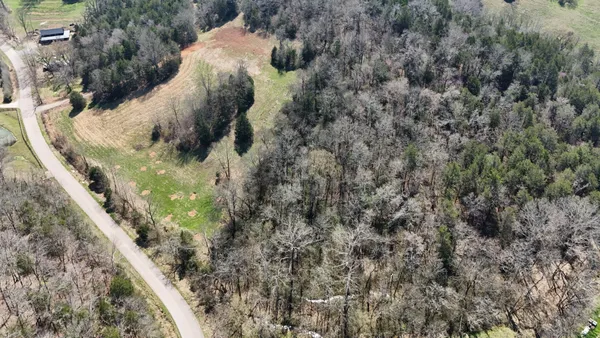 a view of a forest with a trees