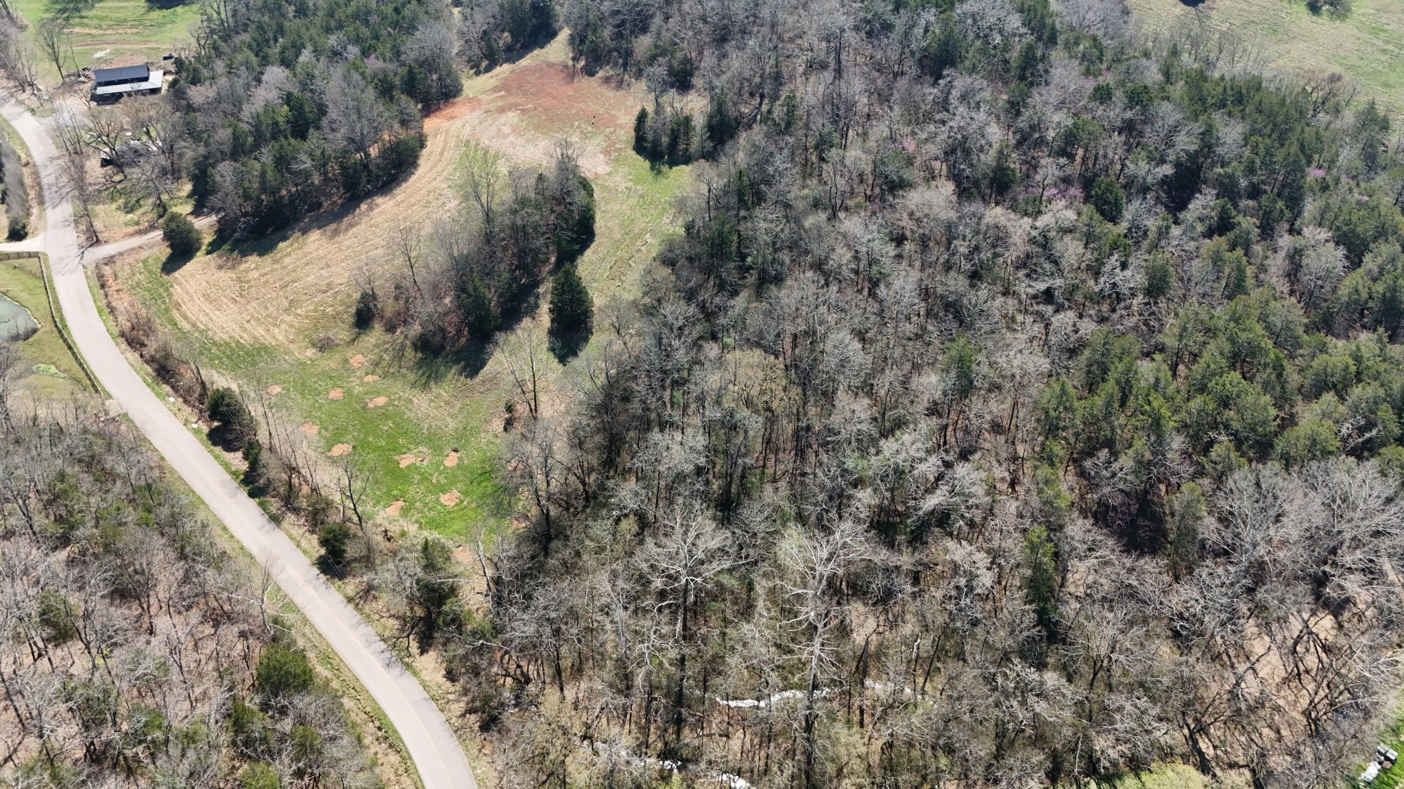 0 Robinson Road Dellrose, TN 38453 - Photo 13 of 15 Gallery Image 13