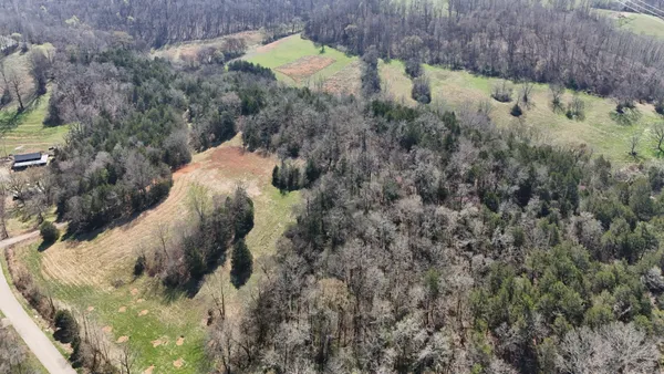 a view of a yard along with trees