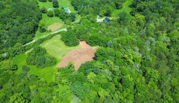 a view of a lush green forest with lots of trees