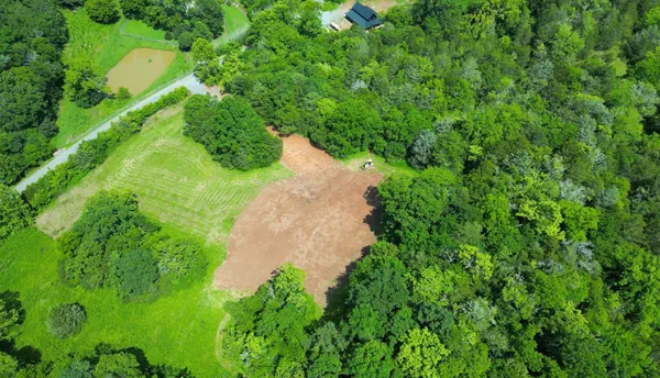 a backyard of a house with a yard and large trees