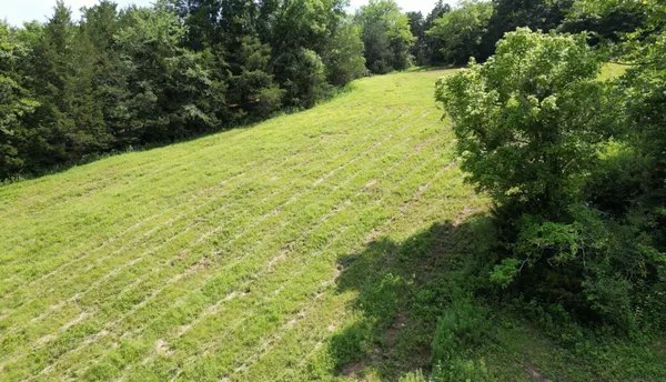 a view of a yard with an outdoor space