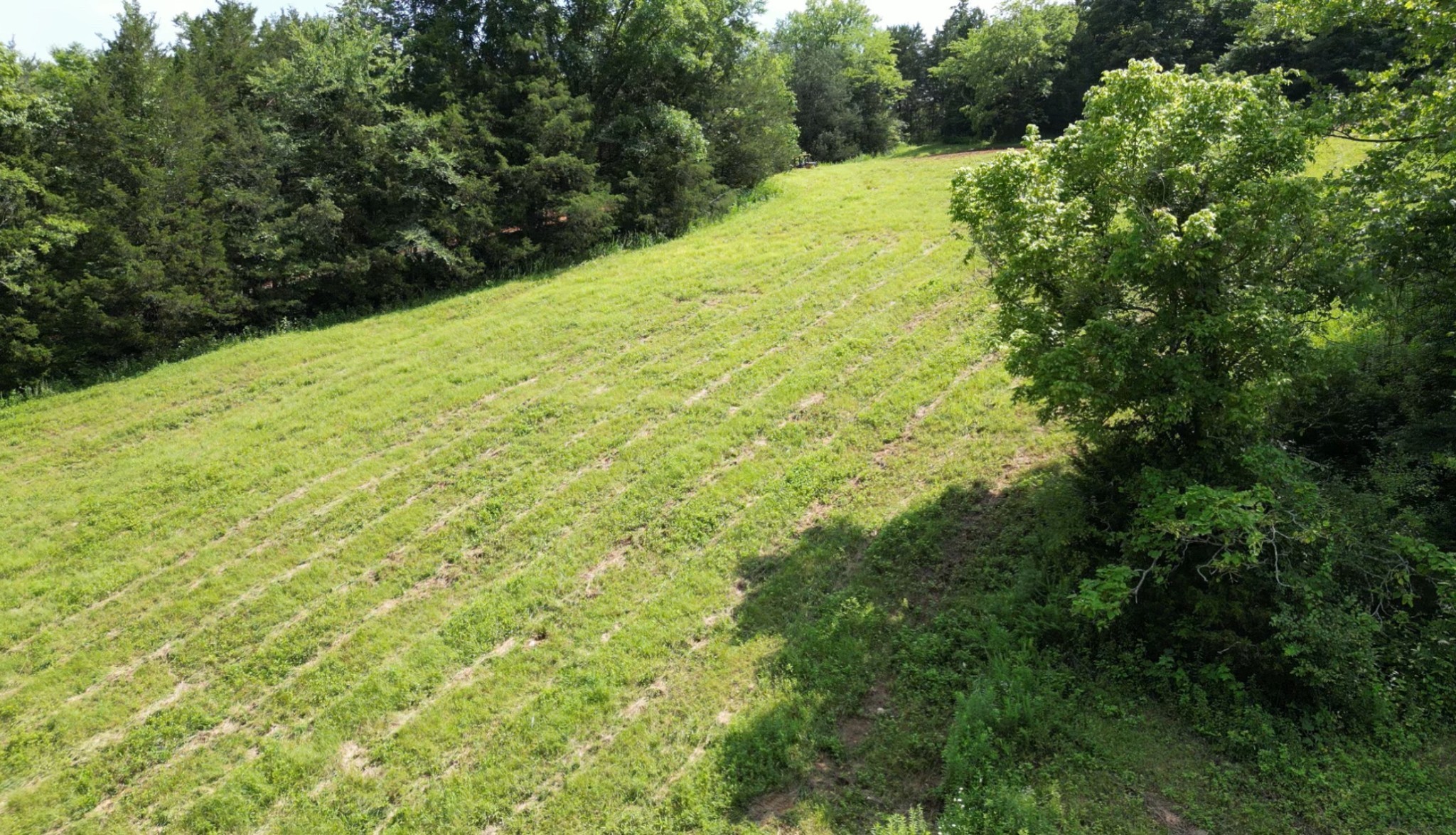 0 Robinson Road Dellrose, TN 38453 - Photo 9 of 15 Gallery Image 9
