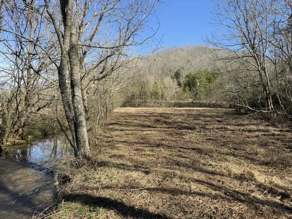 a view of mountain view with trees