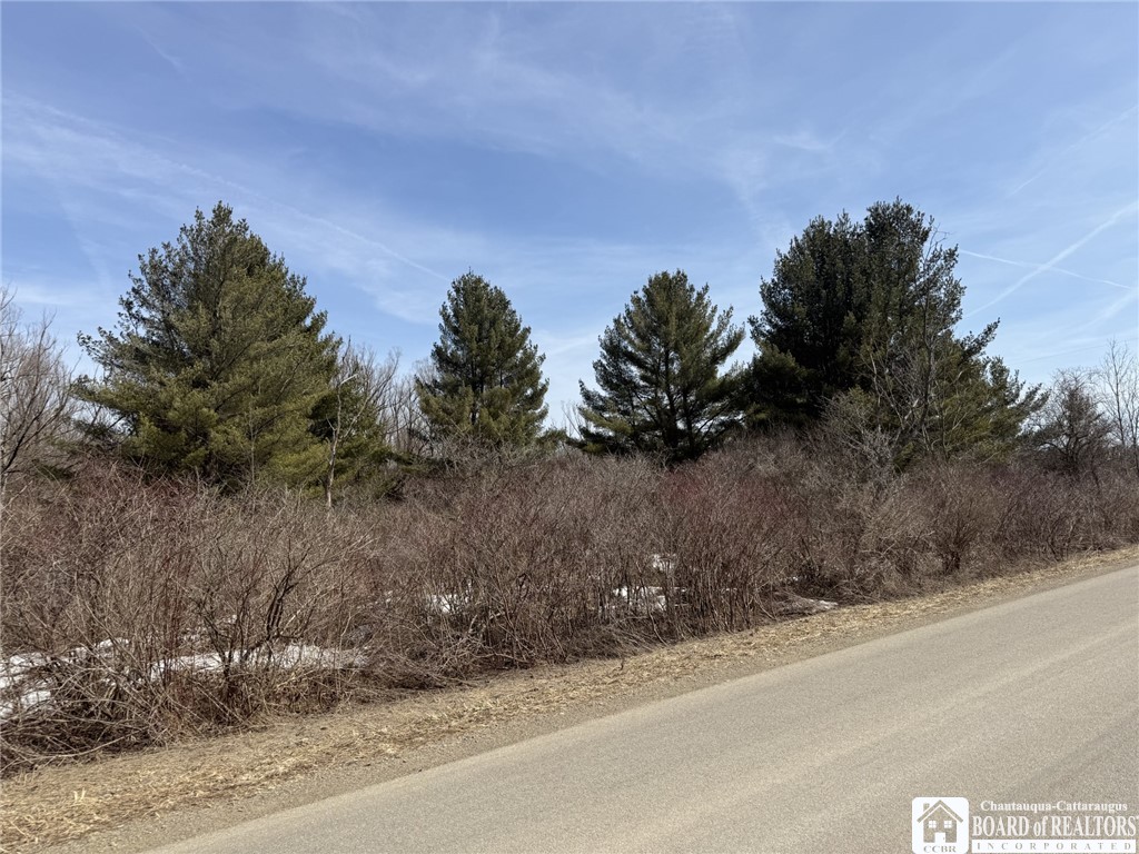 James Road Sinclairville, NY 14782 - Photo 11 of 15