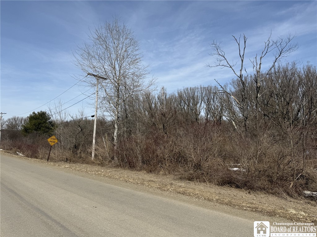 James Road Sinclairville, NY 14782 - Photo 12 of 15