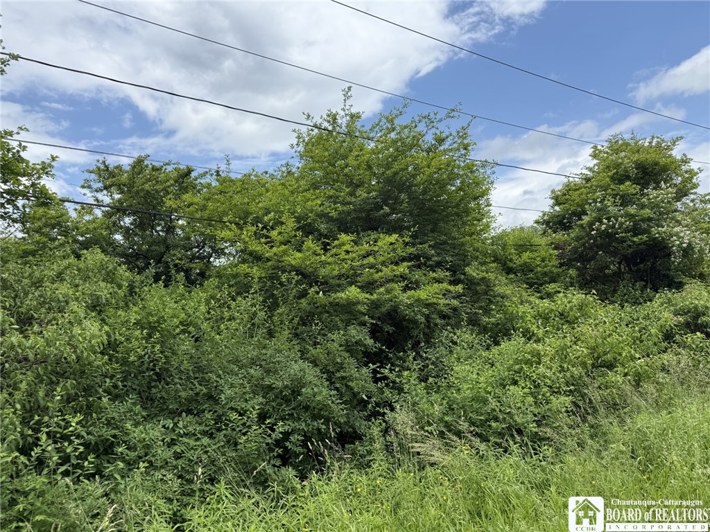 James Road Sinclairville, NY 14782 - Photo 2 of 15