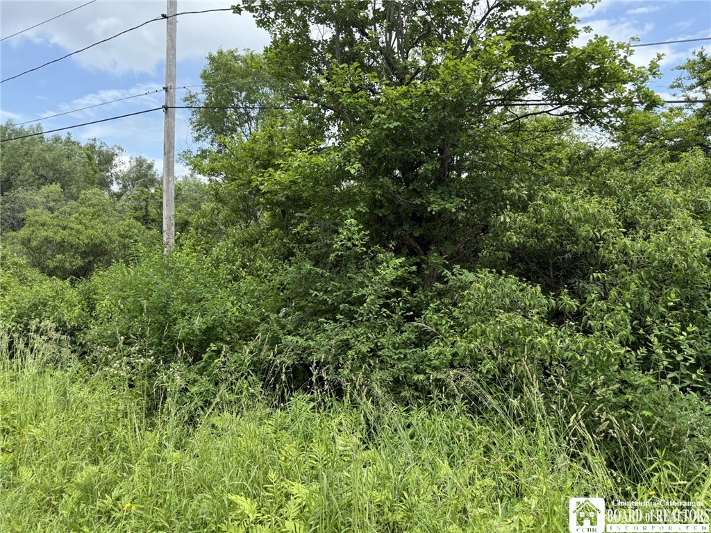 James Road Sinclairville, NY 14782 - Photo 3 of 15