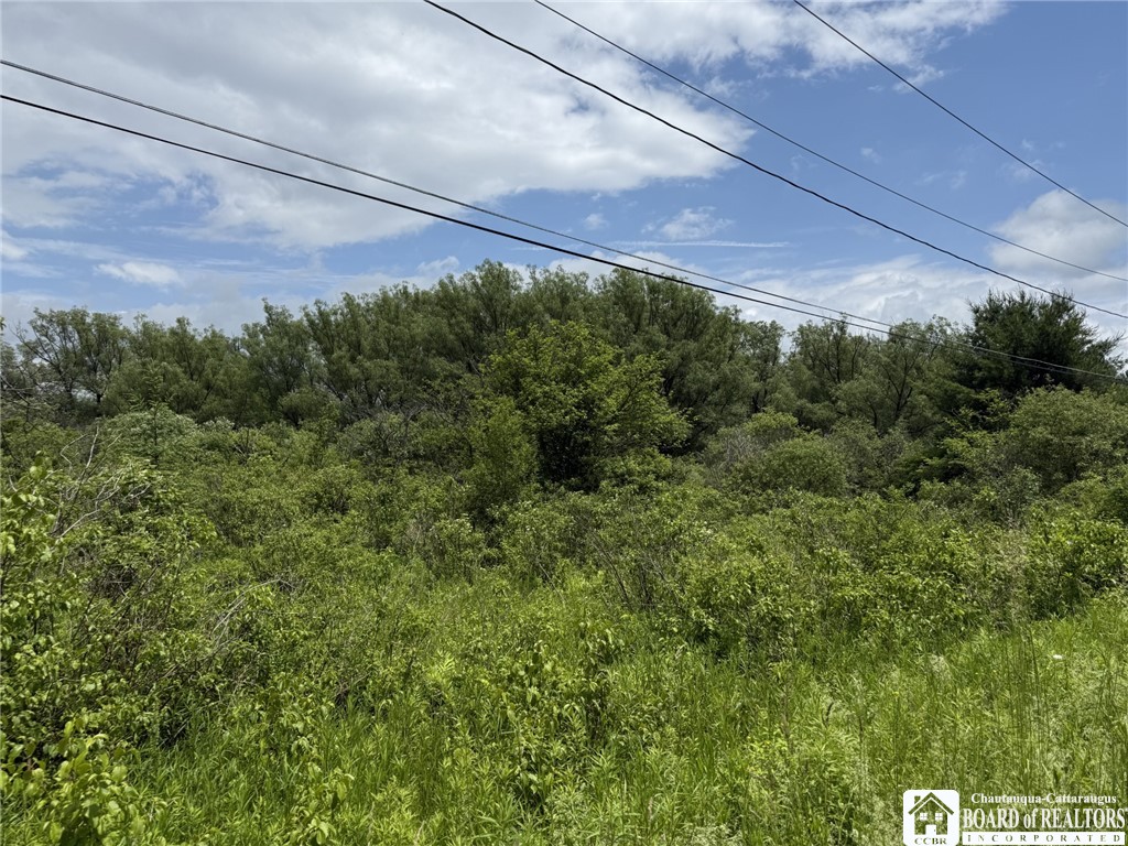 James Road Sinclairville, NY 14782 - Photo 5 of 15