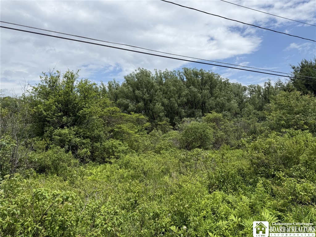 James Road Sinclairville, NY 14782 - Photo 6 of 15