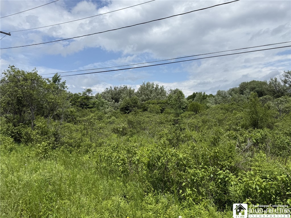 James Road Sinclairville, NY 14782 - Photo 7 of 15