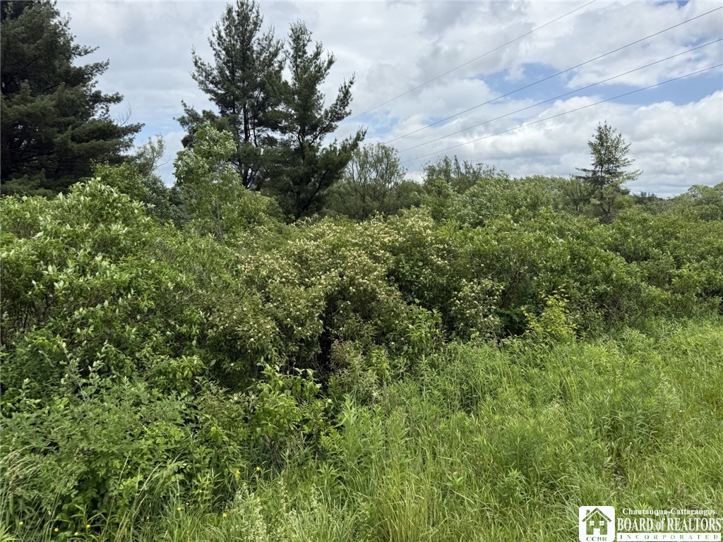 James Road Sinclairville, NY 14782 - Photo 8 of 15