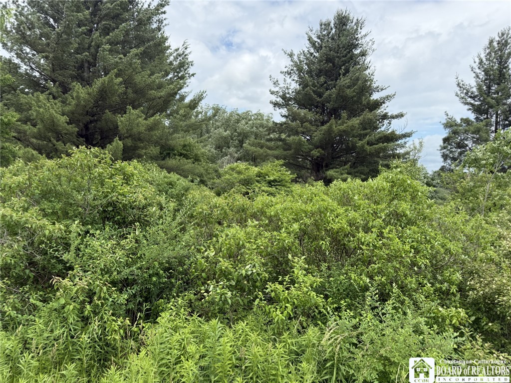 James Road Sinclairville, NY 14782 - Photo 9 of 15