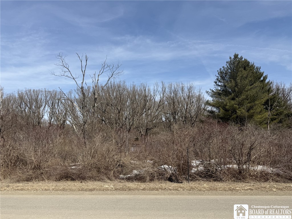 James Road Sinclairville, NY 14782 - Photo 10 of 15 Early spring