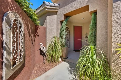a close up of a potted plant