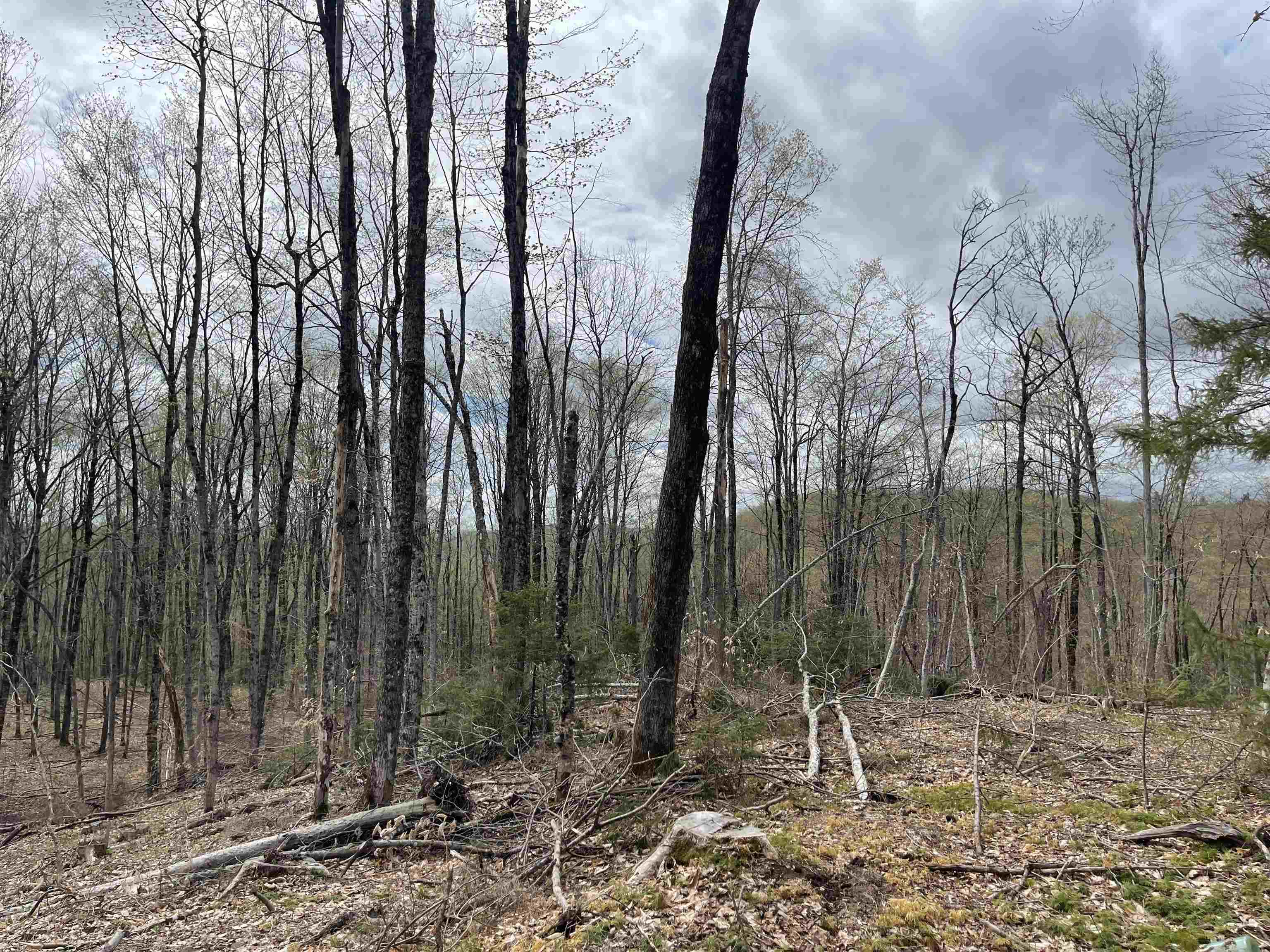 0 Grandview Road Williamstown, VT 05679 - Photo 11 of 13