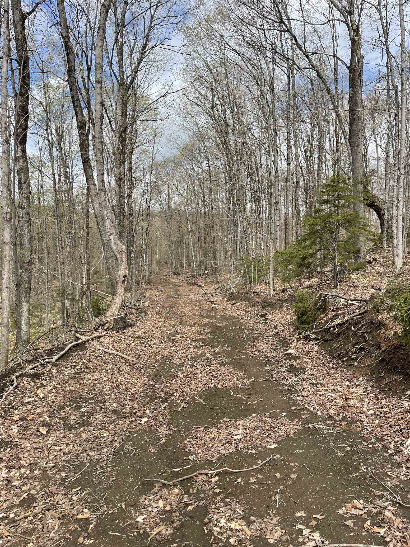 0 Grandview Road Williamstown, VT 05679 - Photo 12 of 13