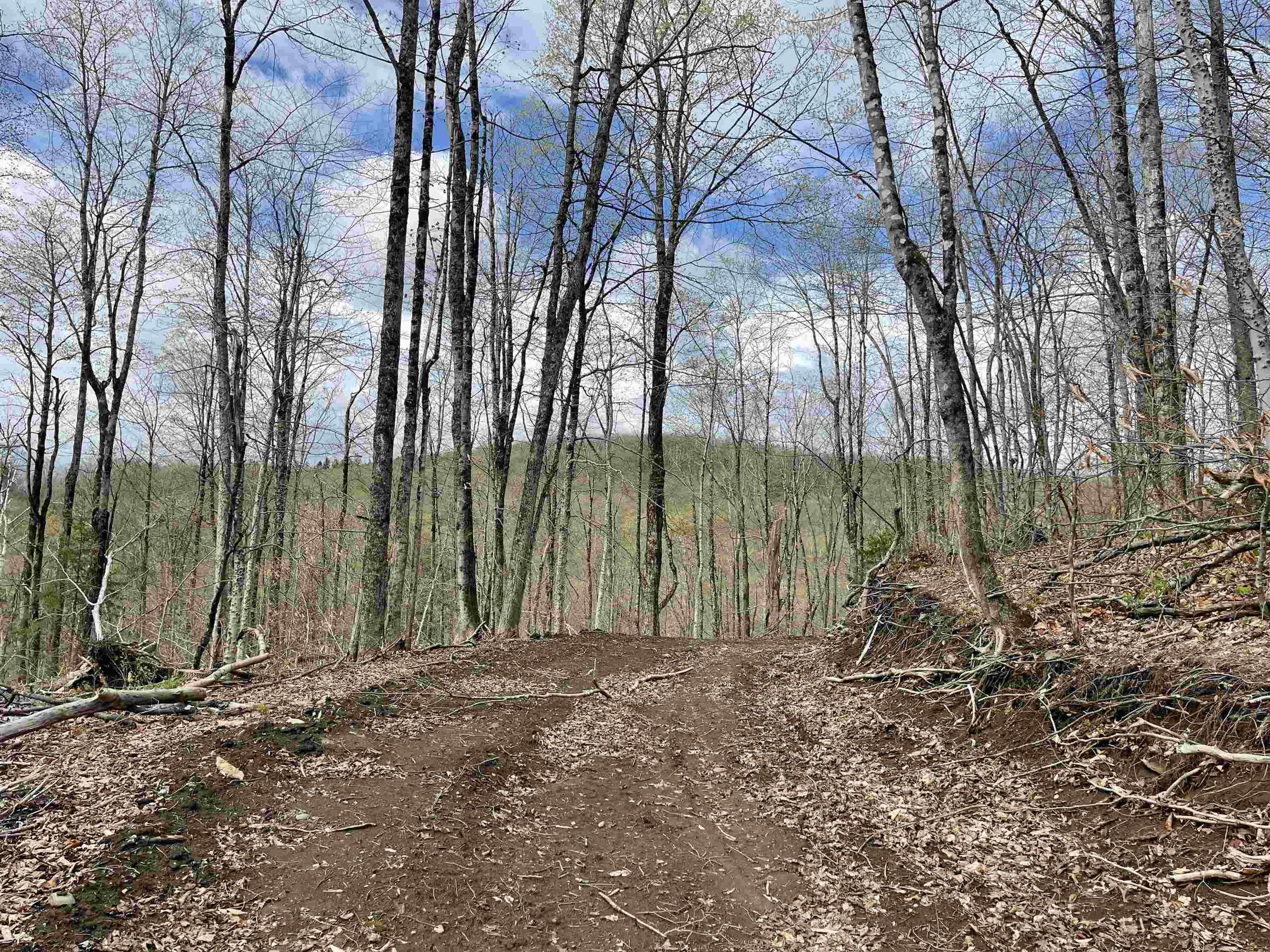 0 Grandview Road Williamstown, VT 05679 - Photo 2 of 13