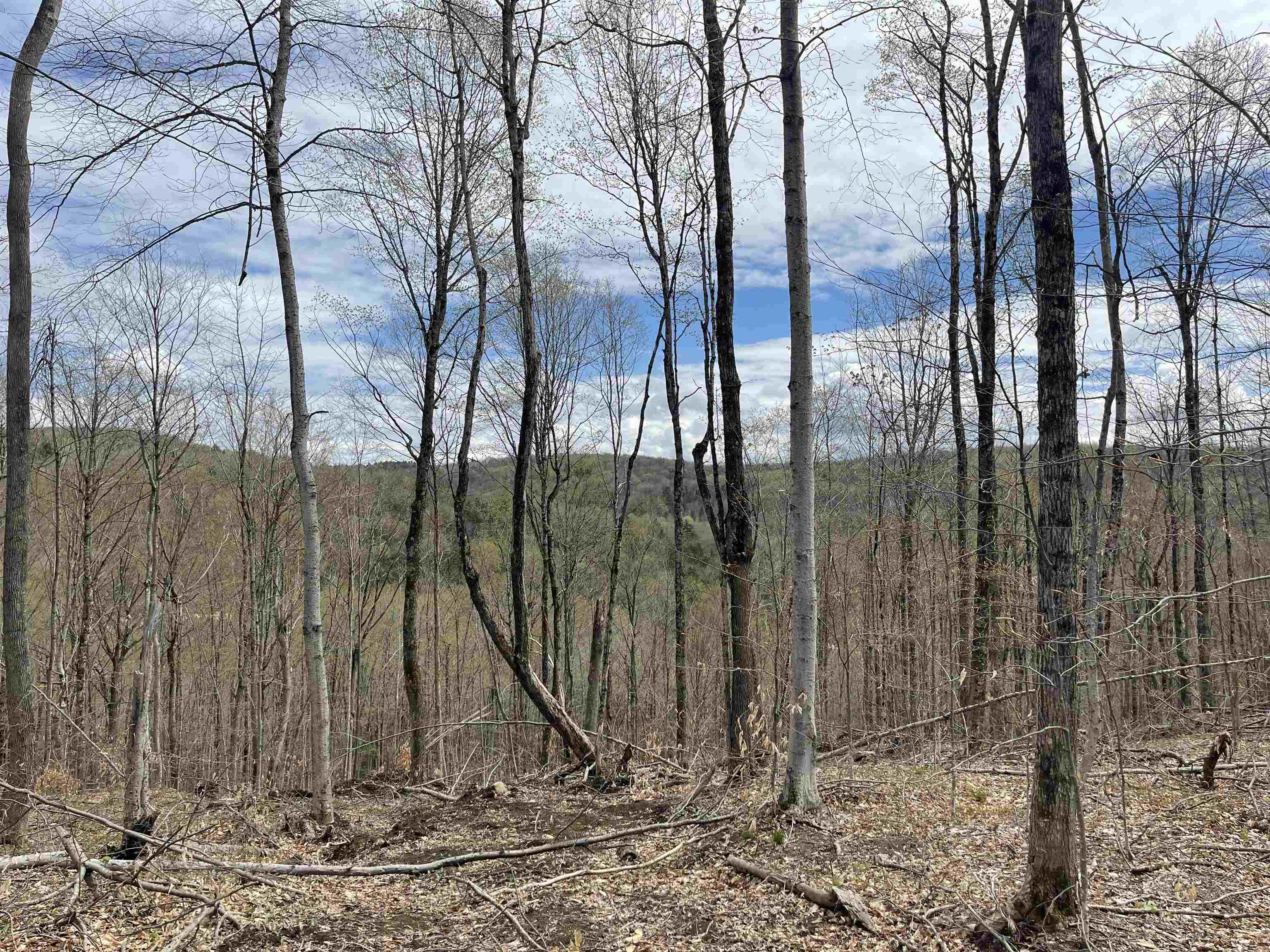 0 Grandview Road Williamstown, VT 05679 - Photo 3 of 13