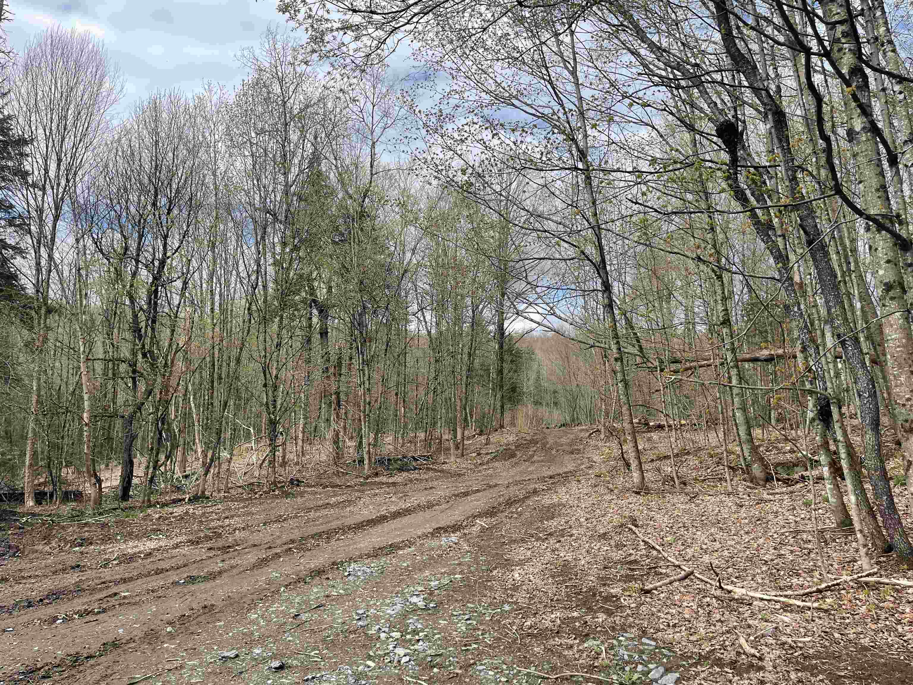 0 Grandview Road Williamstown, VT 05679 - Photo 5 of 13