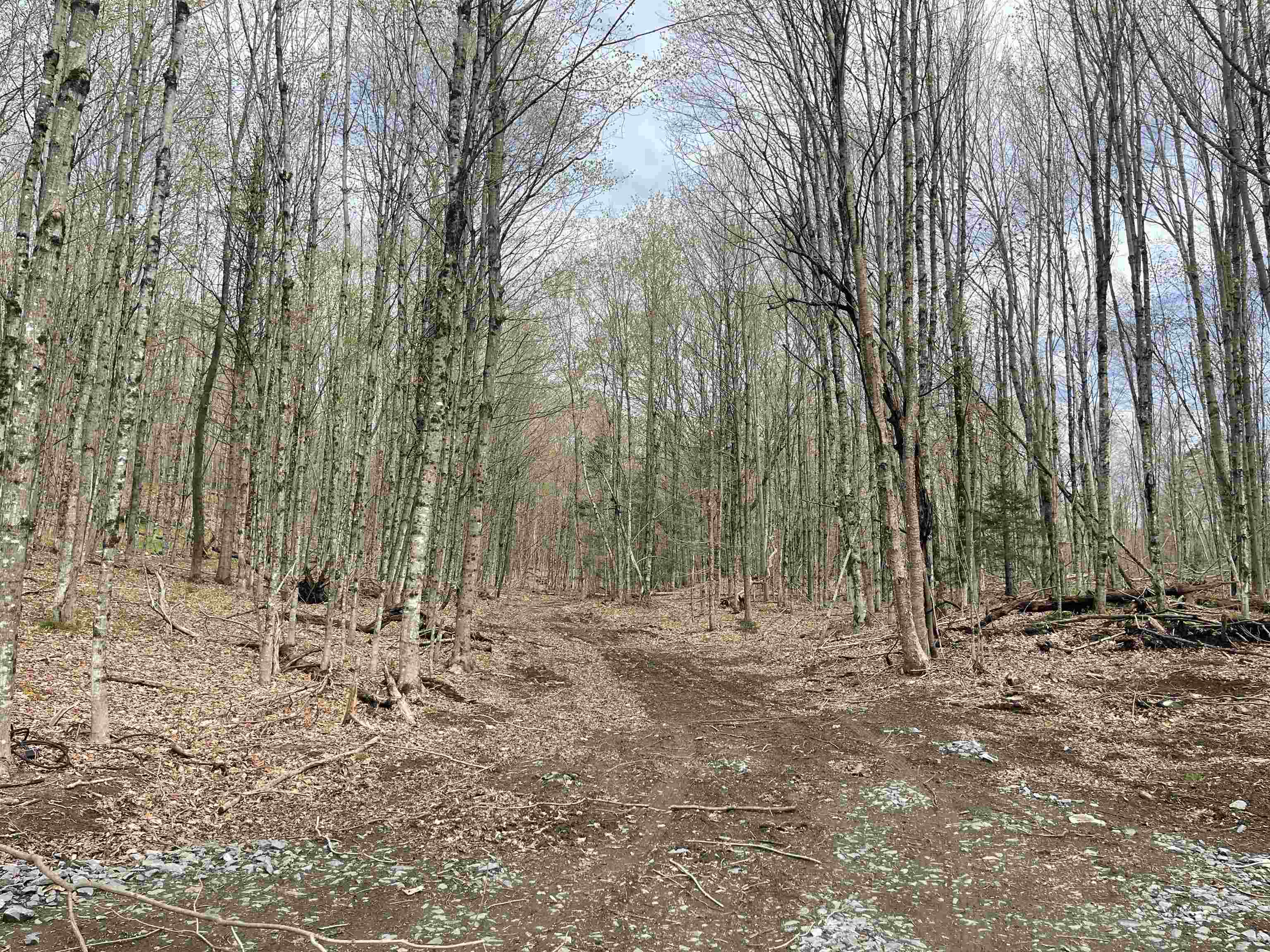 0 Grandview Road Williamstown, VT 05679 - Photo 6 of 13