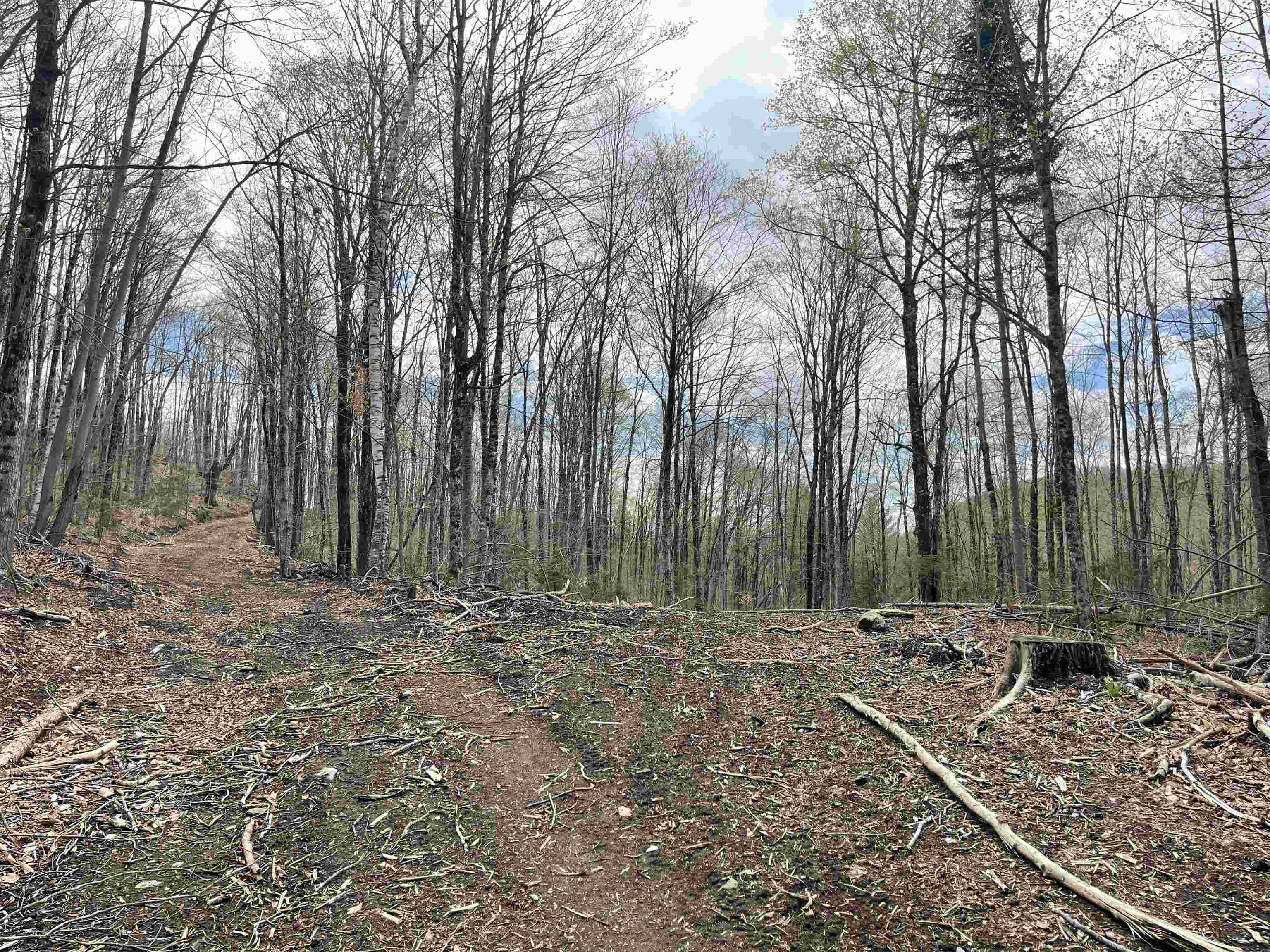 0 Grandview Road Williamstown, VT 05679 - Photo 7 of 13