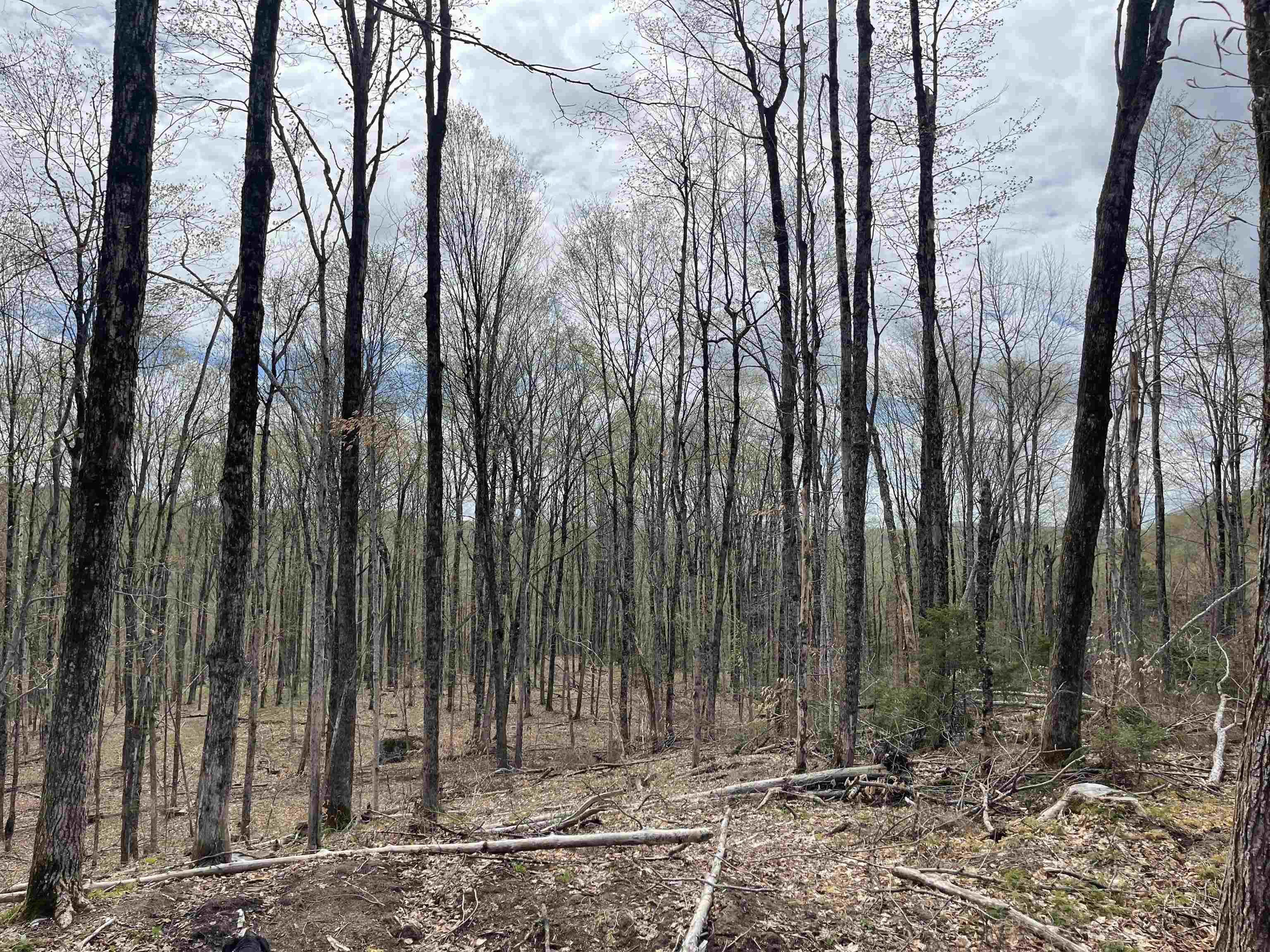 0 Grandview Road Williamstown, VT 05679 - Photo 8 of 13