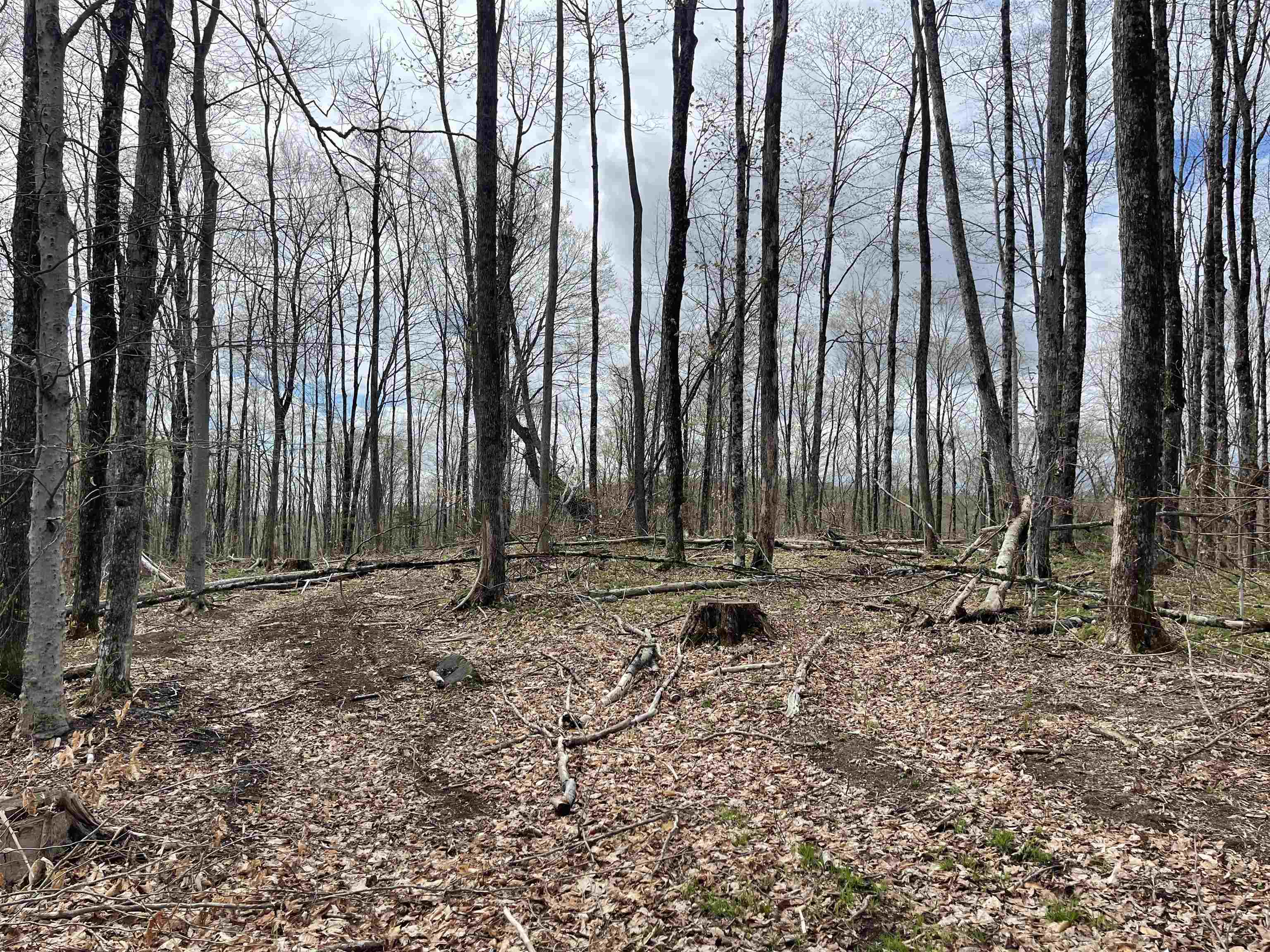 0 Grandview Road Williamstown, VT 05679 - Photo 9 of 13