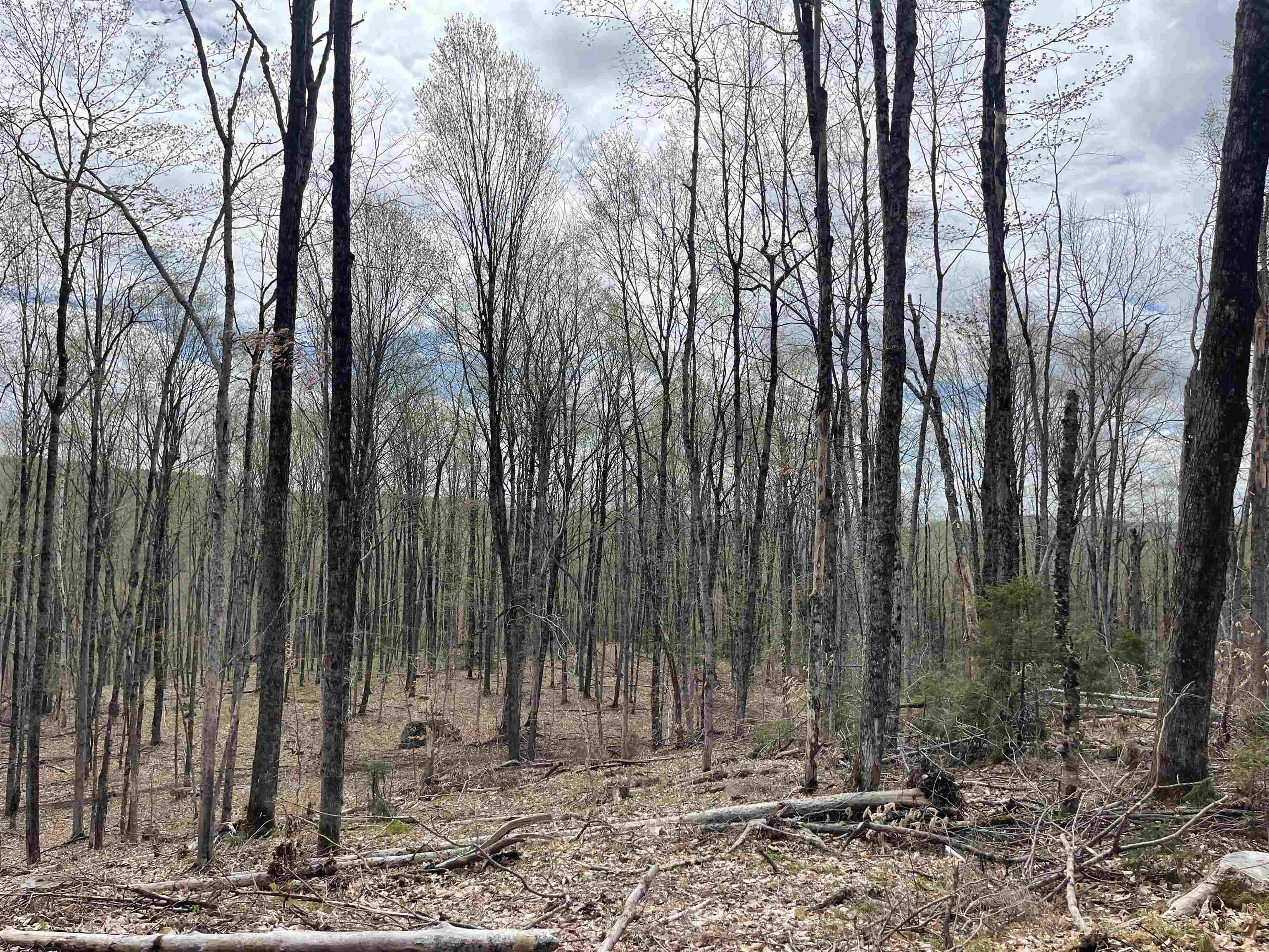 0 Grandview Road Williamstown, VT 05679 - Photo 10 of 13