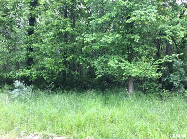 $22,500 | 11530 South 28th Street, Mount Vernon, IL 62864