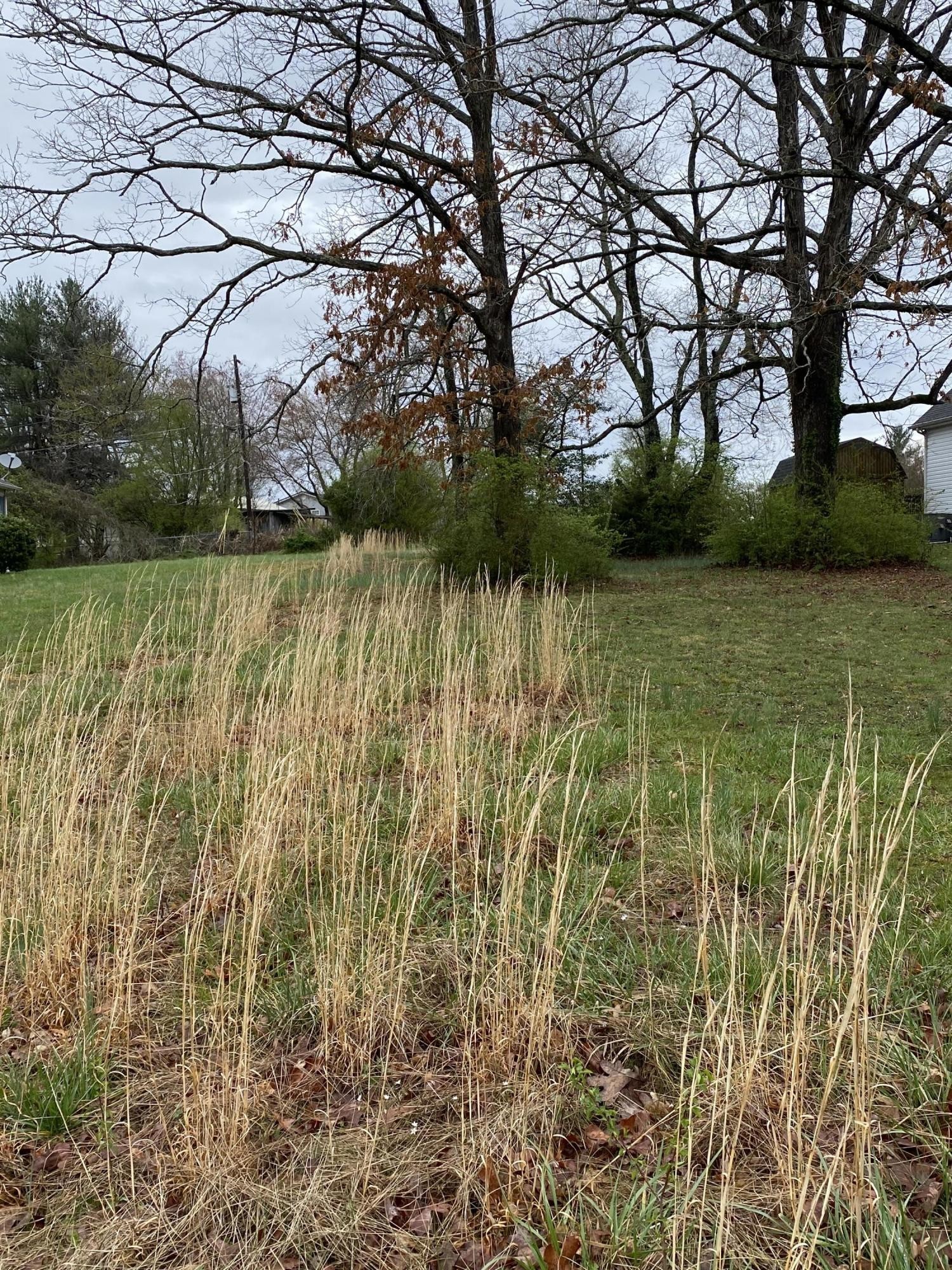 0 Deerfield Road Crossville, TN 38555 - Photo 1 of 3 Gallery Image 1