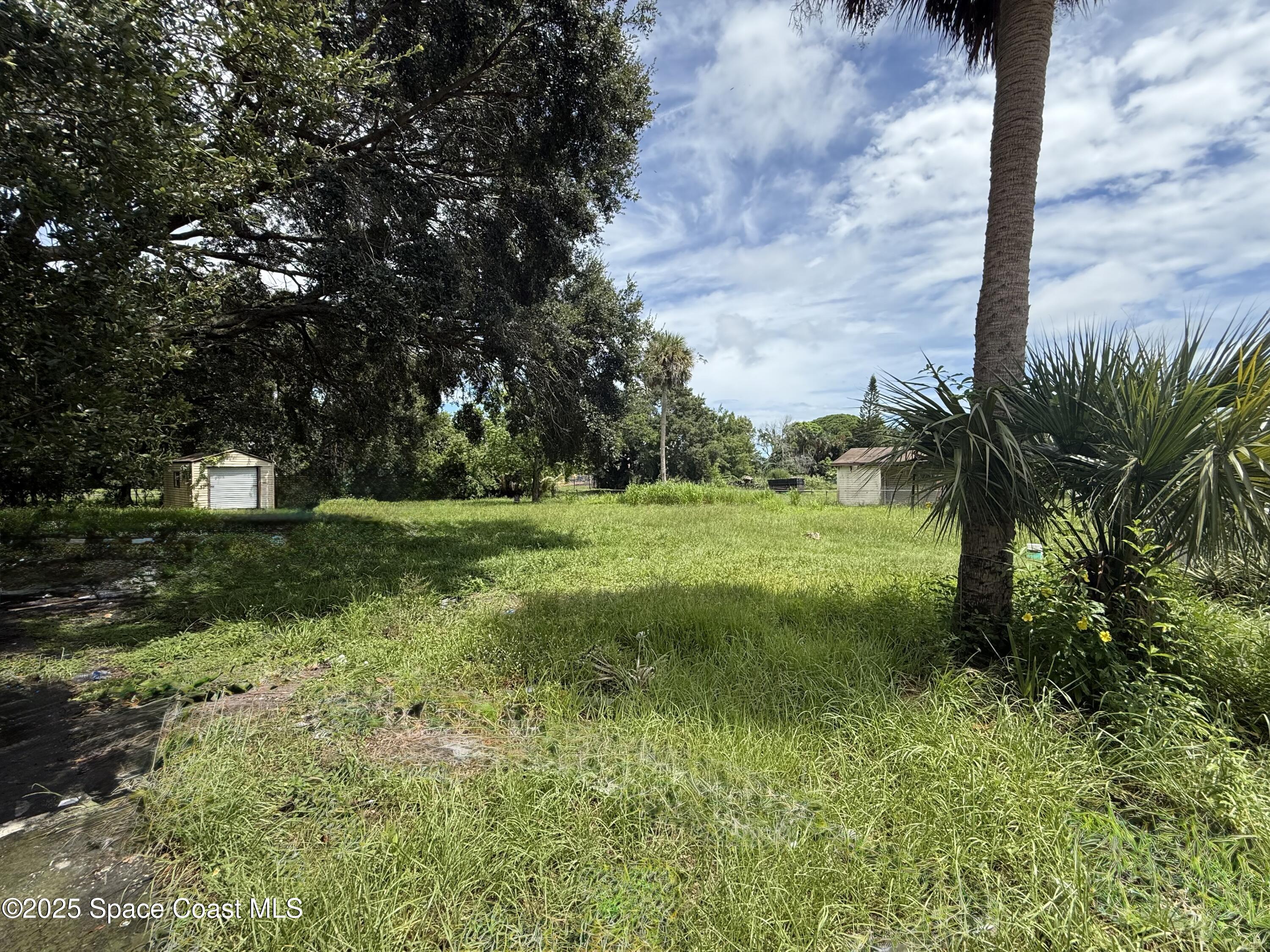 580 Easy Street Merritt Island, FL 32953 - Photo 6 of 7 a view of a trees with a yard