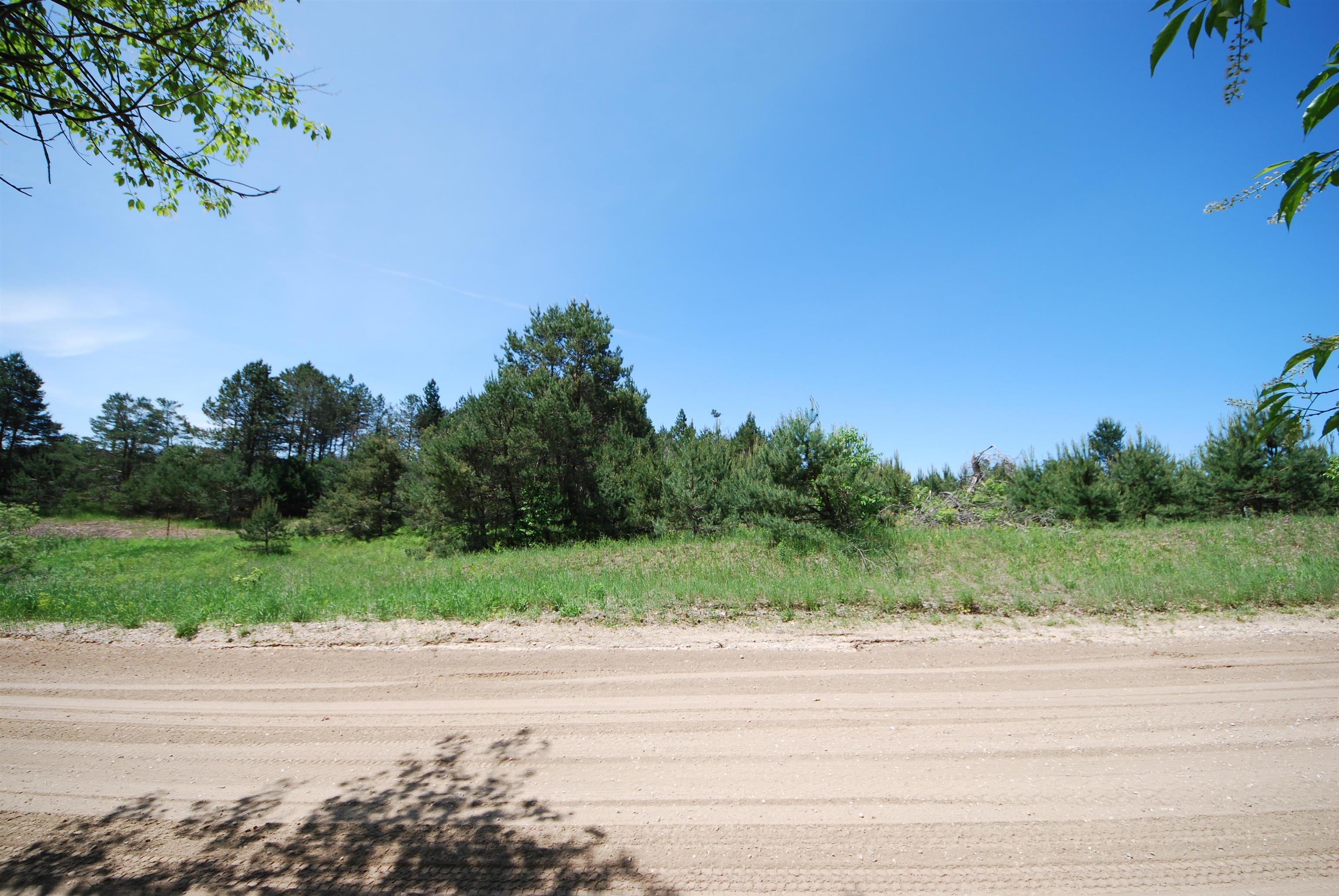 Southeast Riley Road Southeast Kalkaska, MI 49646 - Photo 2 of 7 1922305-aa14a13d-4fda-4daf-8700-83485f047715.JPG