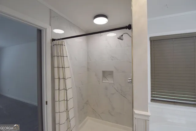 a view of a backyard with a large tree