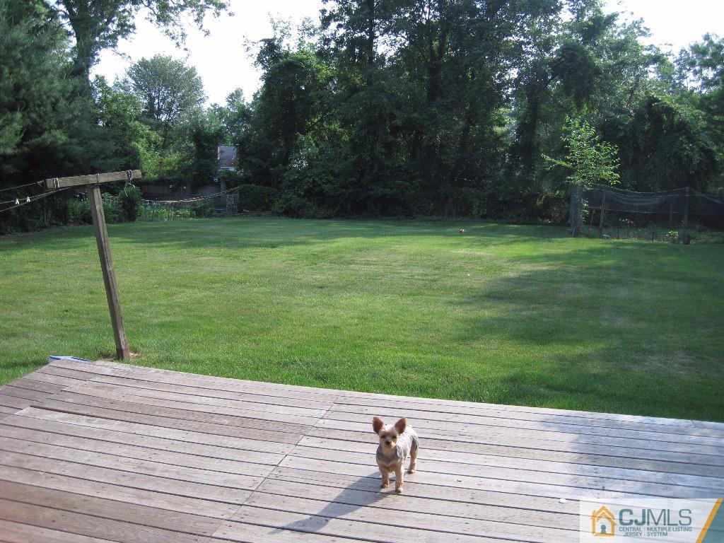 26 Richard Road Edison, NJ 08820 - Photo 16 of 18 a backyard of a house with lots of green space