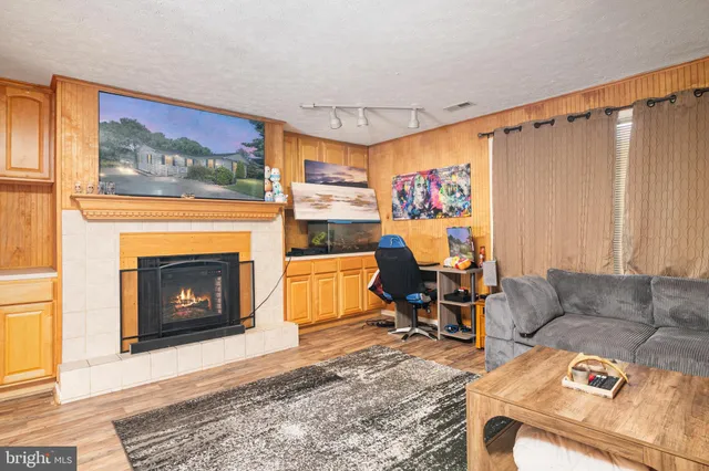 a living room with furniture and a fireplace