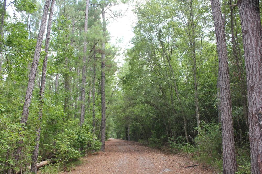 0 Strong Road Andrews, SC 29510 - Photo 3 of 11 3