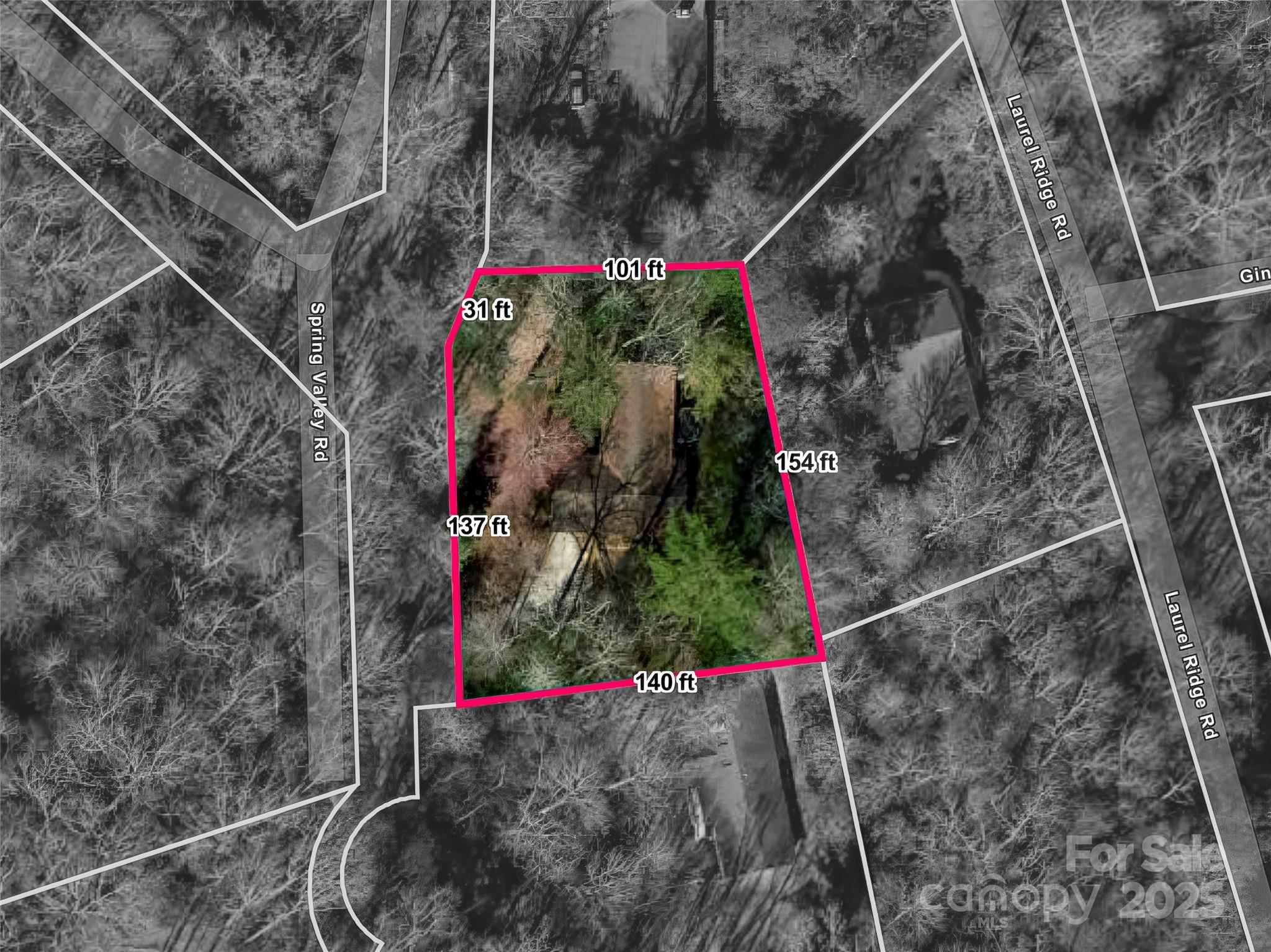 27 Spring Valley Road Pisgah Forest, NC 28768 - Photo 36 of 37