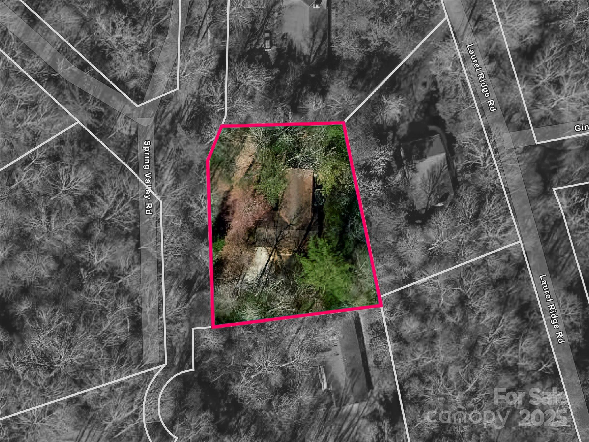 27 Spring Valley Road Pisgah Forest, NC 28768 - Photo 37 of 37 a view of small yard