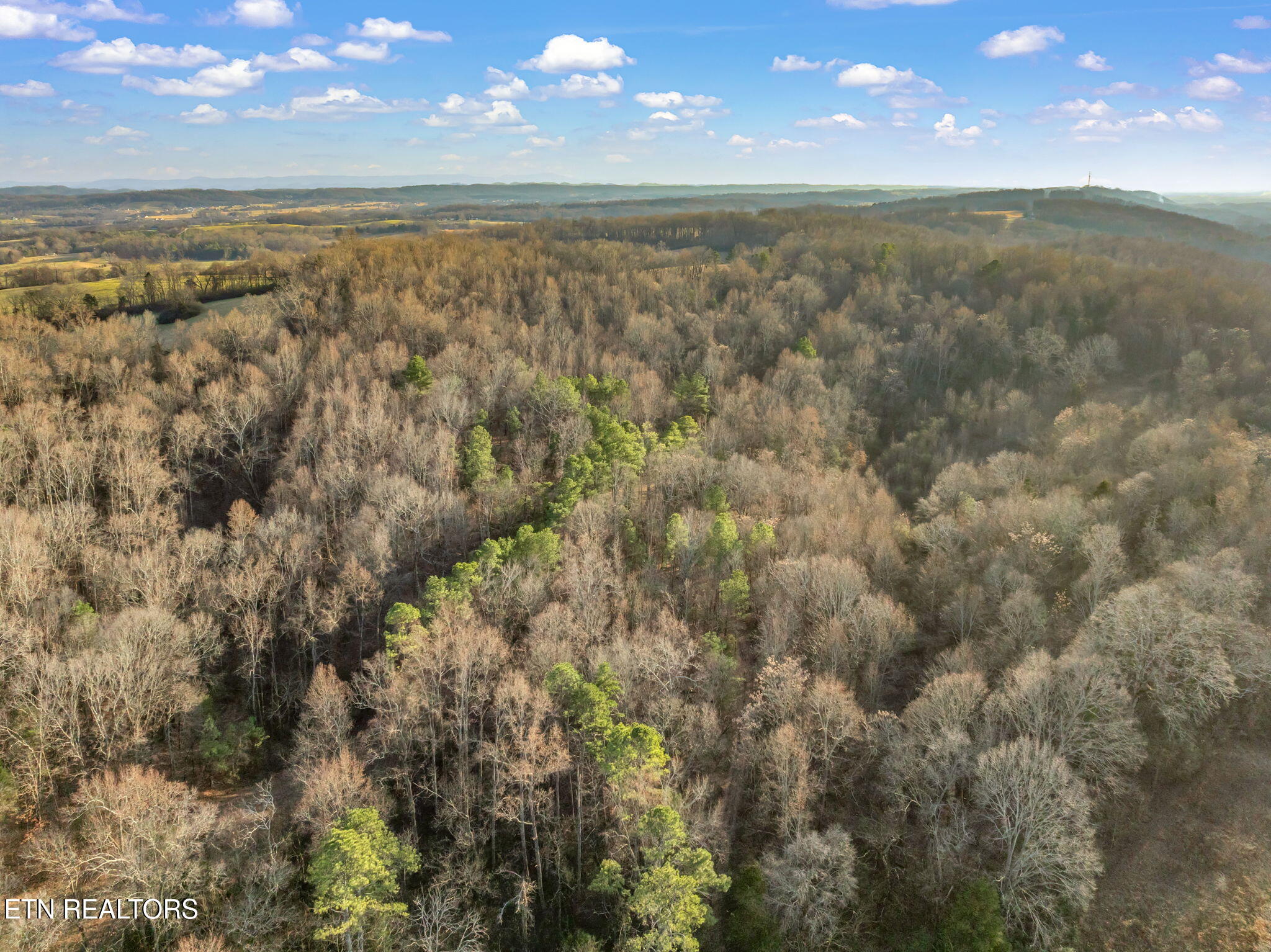 0 Telford Road Sweetwater, TN 37874 - Photo 34 of 35 35-web-or-mls-Telford Road Land-32