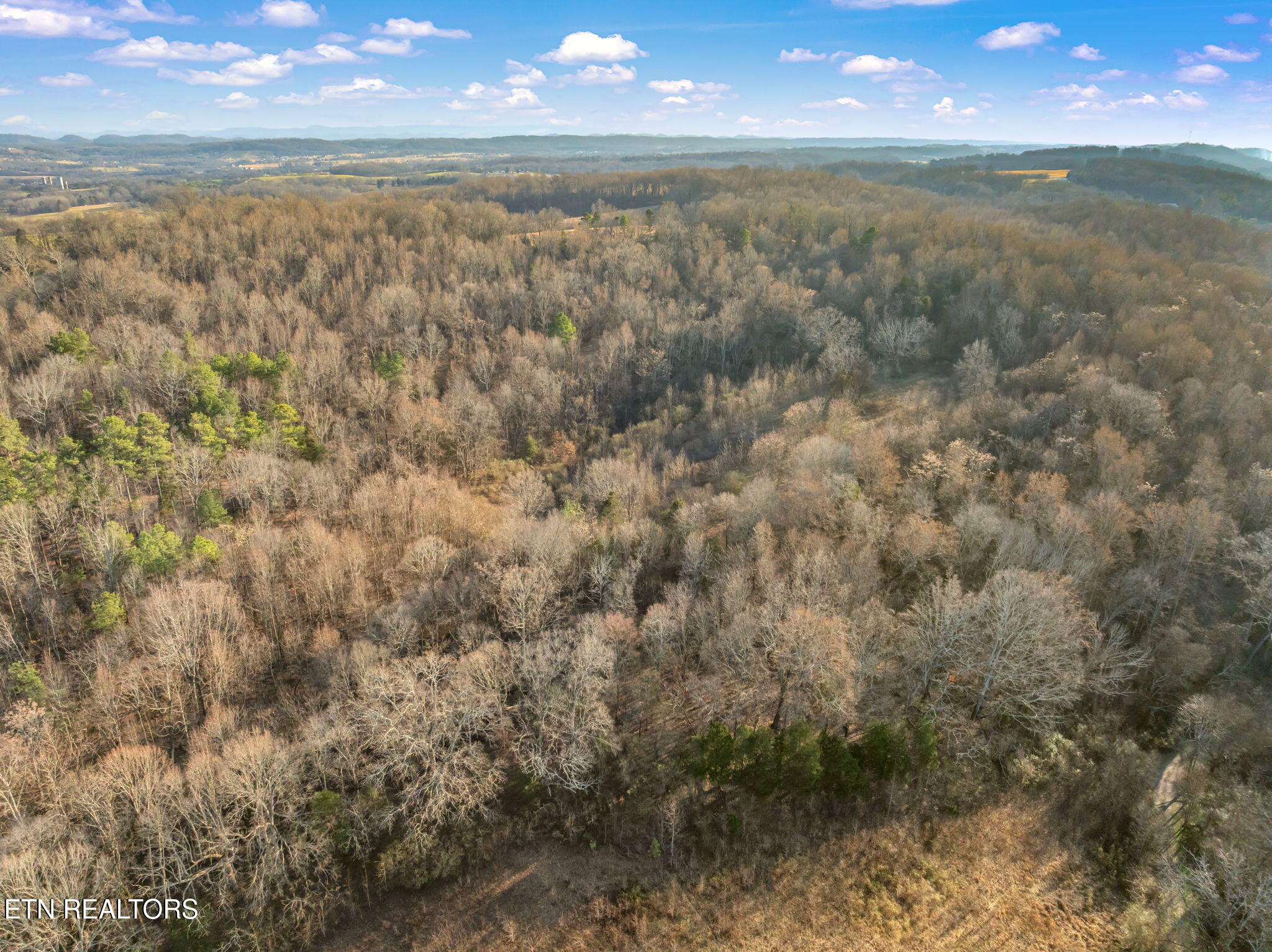 0 Telford Road Sweetwater, TN 37874 - Photo 10 of 35 3-web-or-mls-Telford Road Land-4