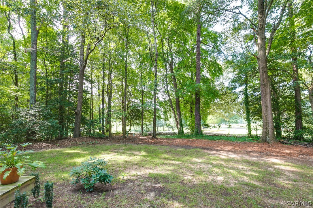 8507 Hann Road North Chesterfield, VA 23236 - Photo 48 of 50 Gallery Image 48
