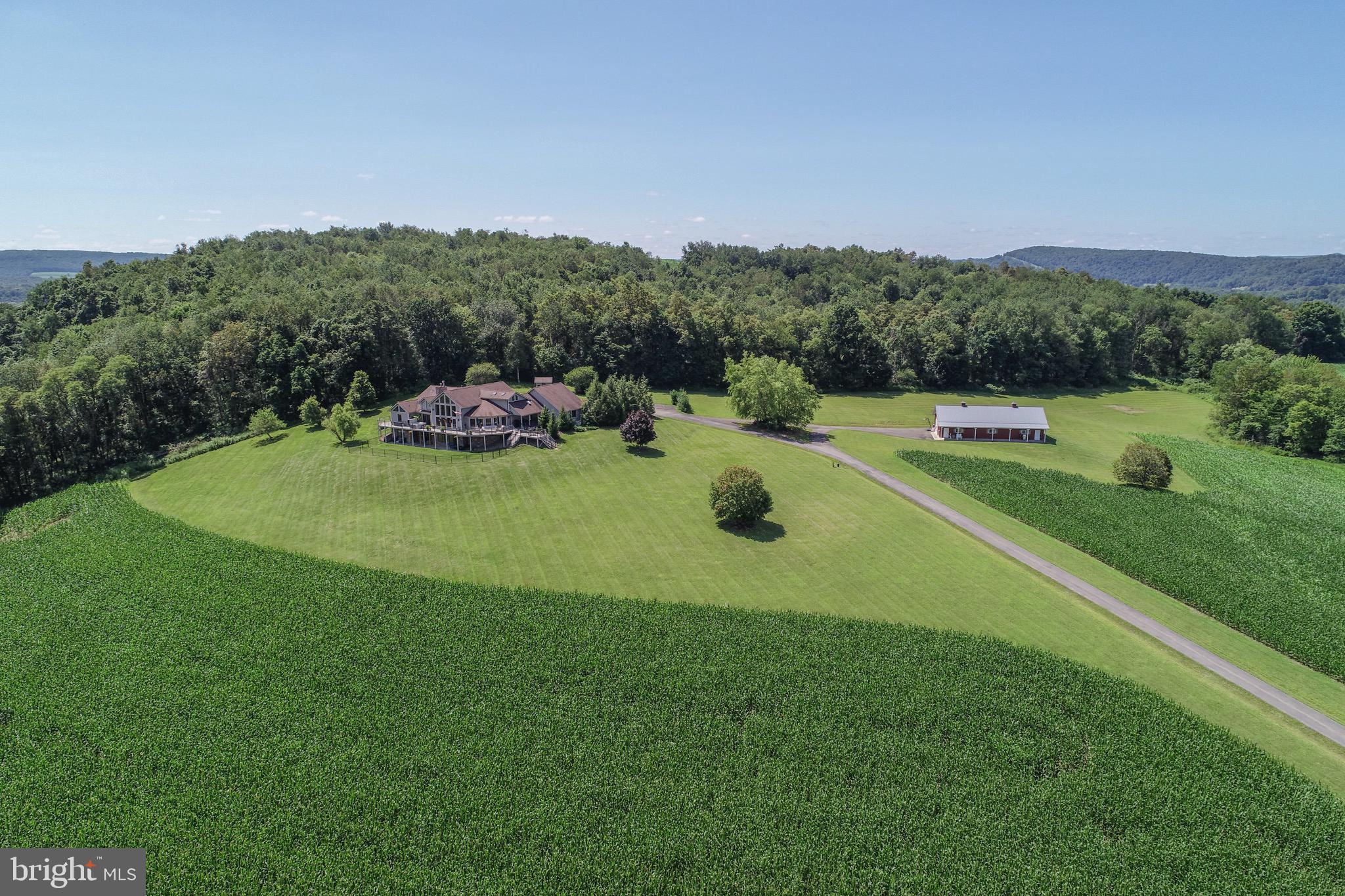 2325 Accident Friendsville Road Accident, MD 21520 - Photo 11 of 107 a view of a house with a yard