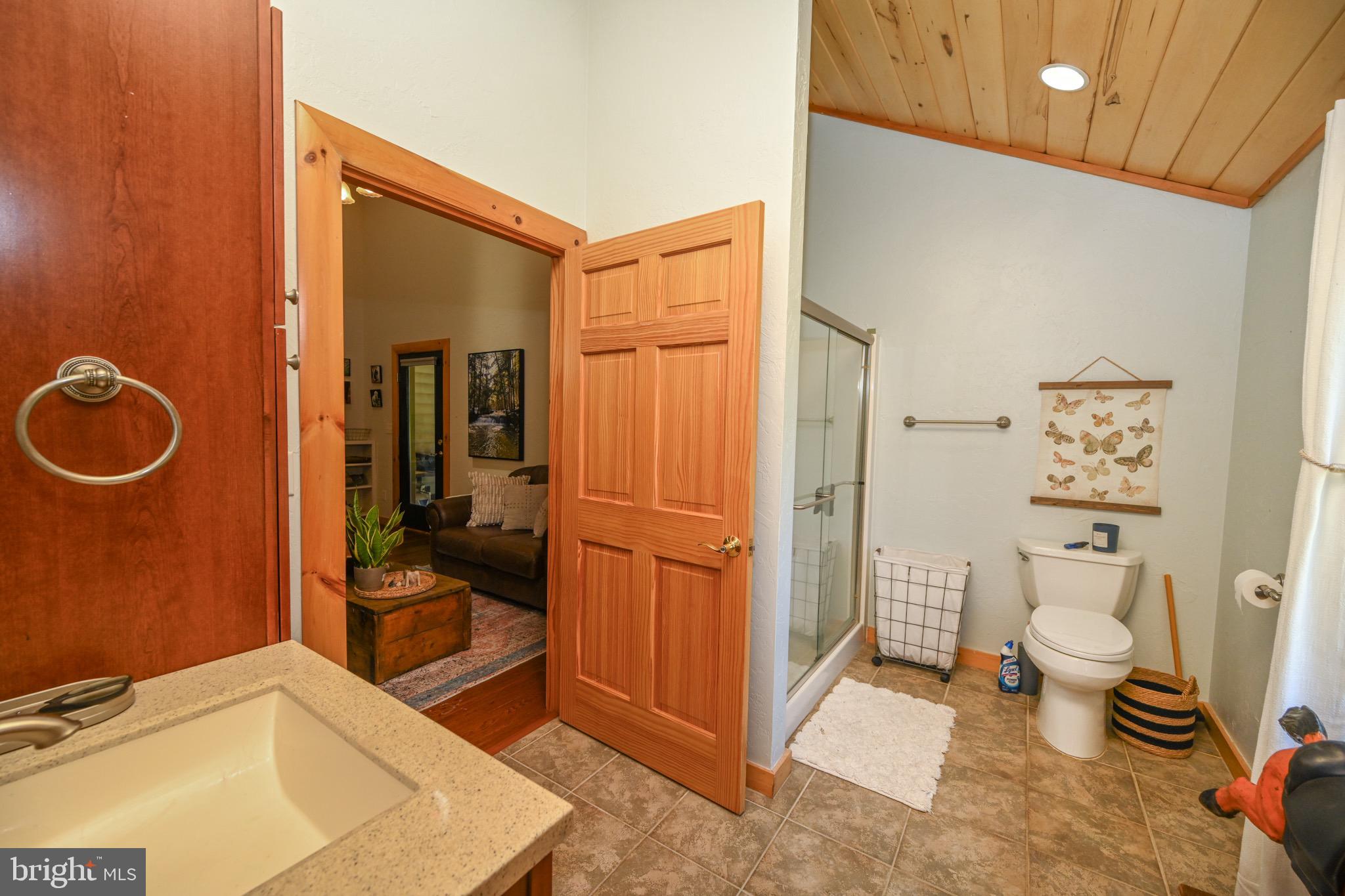 2325 Accident Friendsville Road Accident, MD 21520 - Photo 32 of 107 a bathroom with a sink a toilet and shower