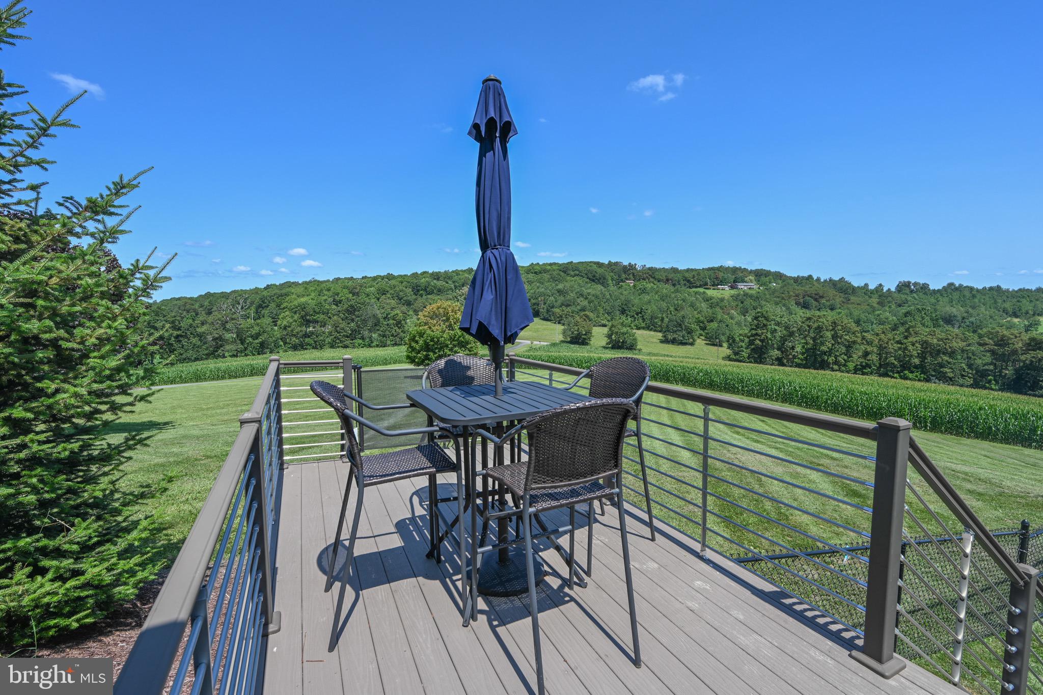 2325 Accident Friendsville Road Accident, MD 21520 - Photo 79 of 107