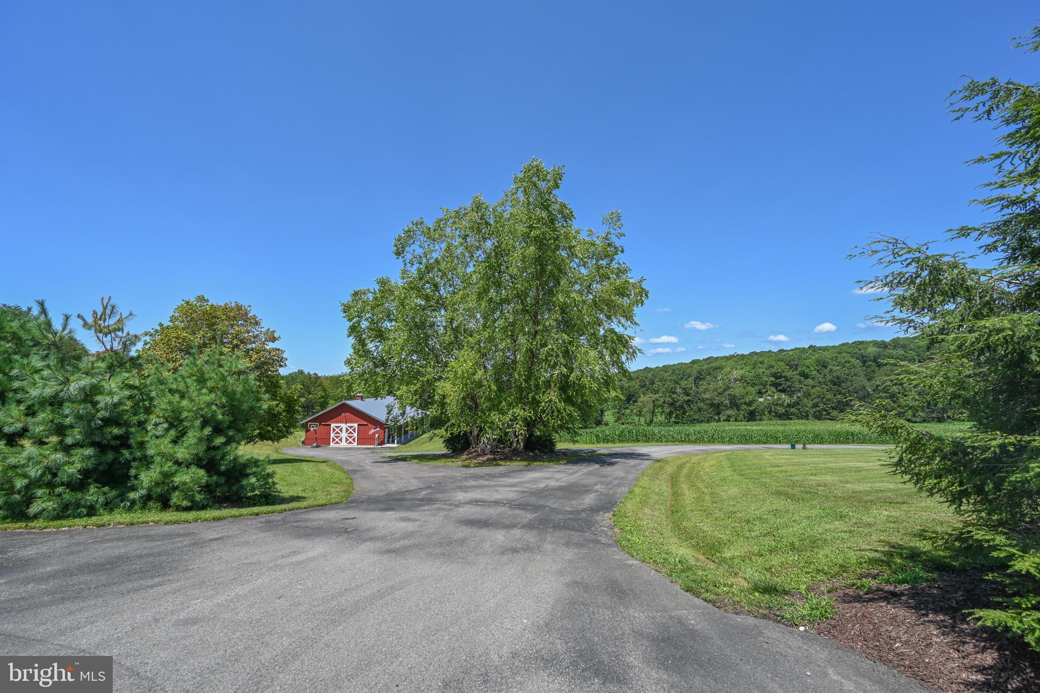 2325 Accident Friendsville Road Accident, MD 21520 - Photo 95 of 107