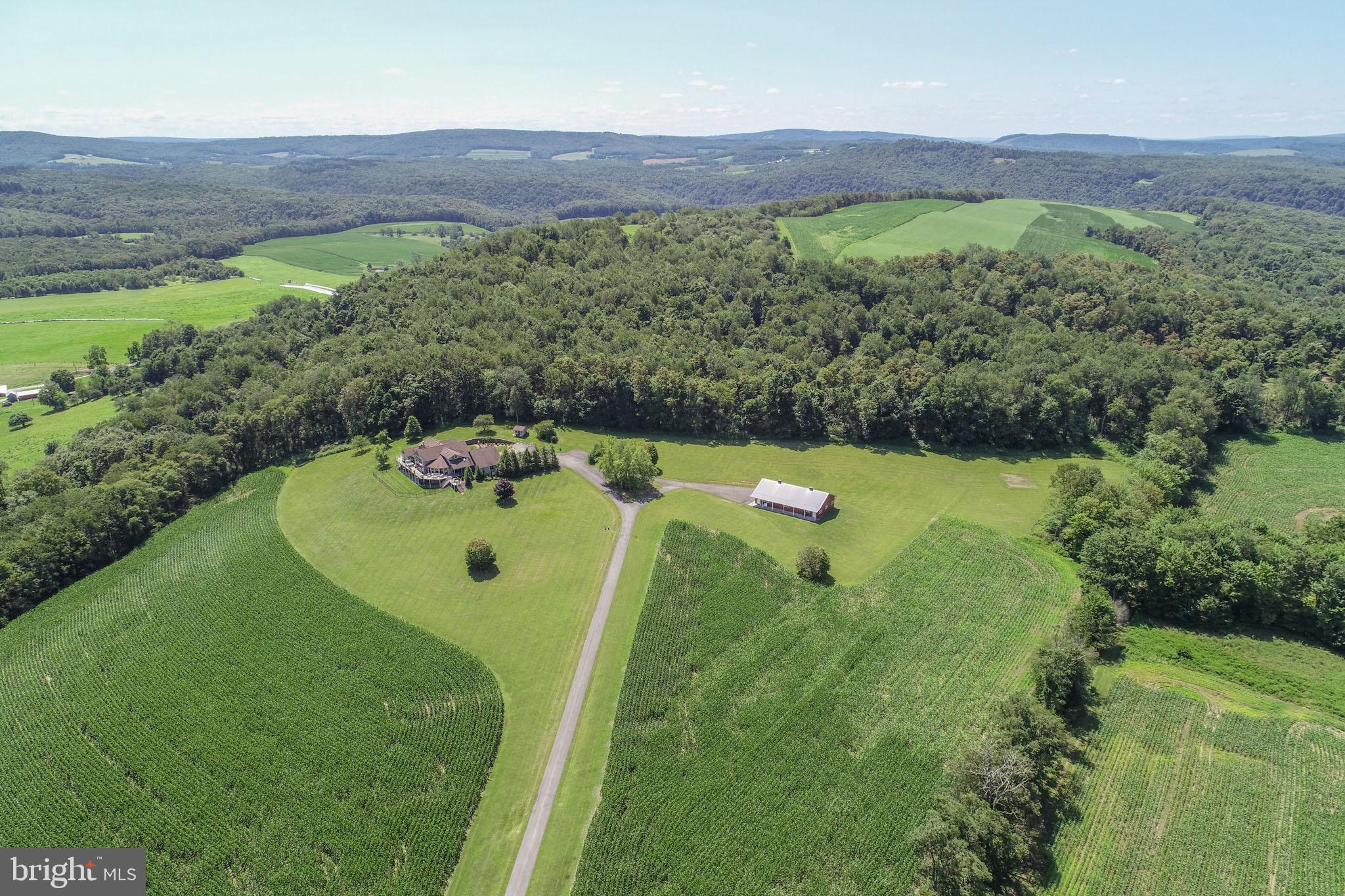 2325 Accident Friendsville Road Accident, MD 21520 - Photo 10 of 107